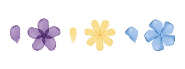 Mor, sarı ve mavi renkte üç çiçekli suluboya sanat eseri. Her çiçeğe tek bir eşleşen taç yaprağı eşlik eder, hepsi de temiz beyaz arka plana yerleştirilir..