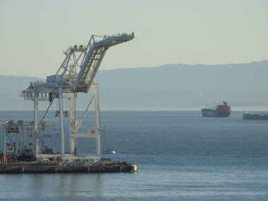 Turnalar San Francisco Körfezi Oakland Limanı 'nda..