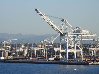 Turnalar San Francisco Körfezi Oakland Limanı 'nda..