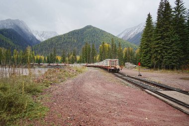 Nyack, Montana 'da sonbaharda Düz Kafalı Nehir' in Orta Çatalı yakınlarında demiryolu rayları.