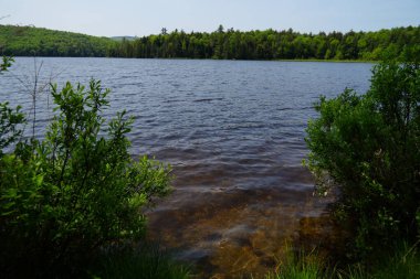 Big Pond near Schroon Lake's western shore.