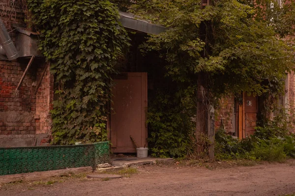 Ivy Een Vintage Baksteen Huis — Stockfoto