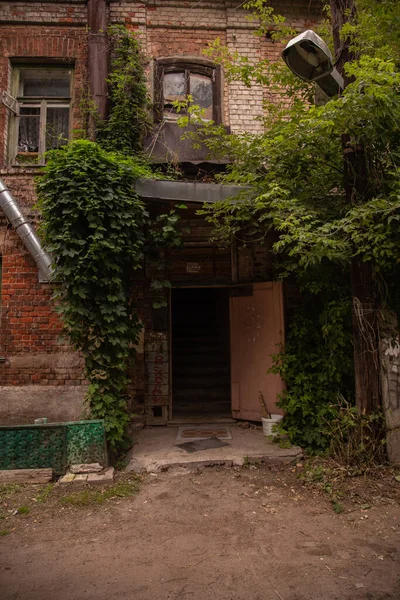 Ivy Sur Une Maison Briques Vintage — Photo