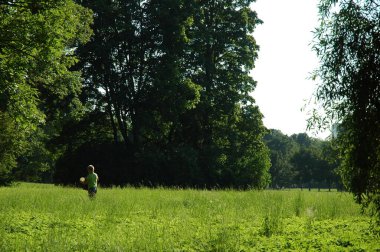 Yazın Avrupa parkı ve botanik bahçesi 