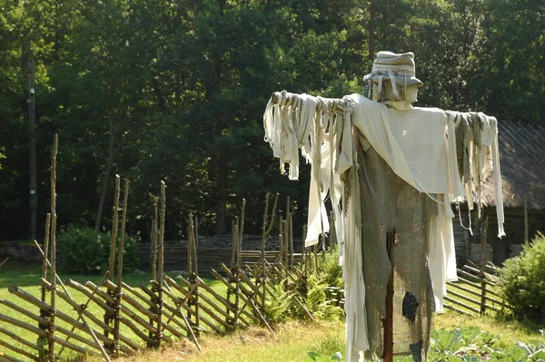 Vogelscheuche Dorfgarten Sommer — Stockfoto