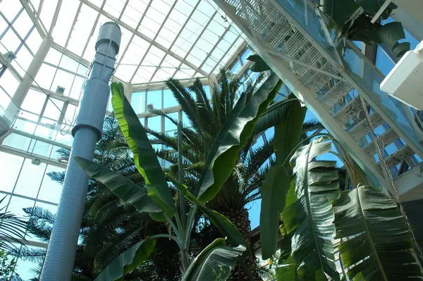 Parque Europeo Jardín Botánico Verano Con Arte — Foto de Stock