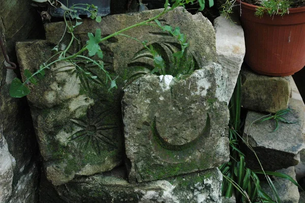 Камень Мхом Резной Луной Нем — стоковое фото