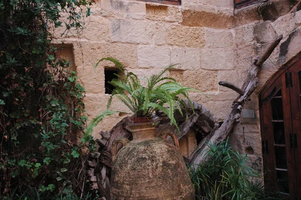 Mavi gökyüzünün altında iç kısımları olan eski bir avlu.