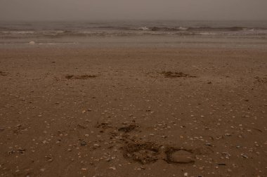 Rimini 'de günbatımı sisli plaj