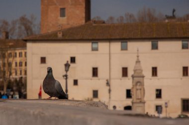 Roma 'nın merkezindeki nehir kıyısı.