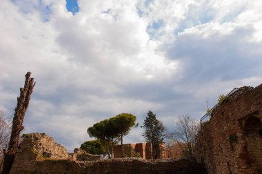 Roma Kolezyumu ve kuş uçuşu