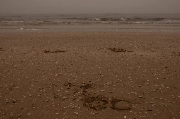 Rimini 'de günbatımı sisli plaj