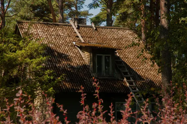 Kleine Houten Hut Een Bos — Stockfoto