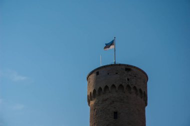 Yazın ortaçağ şatosu