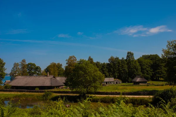 Kleine Houten Hut Een Bos — Stockfoto