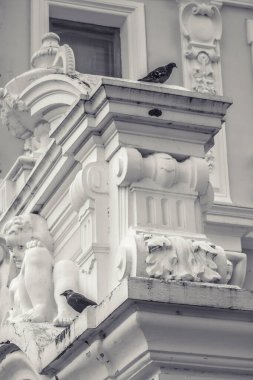 Bir Rönesans malikanesinin perdesi