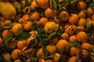 Bir vitrin dokusunda birçok portakal