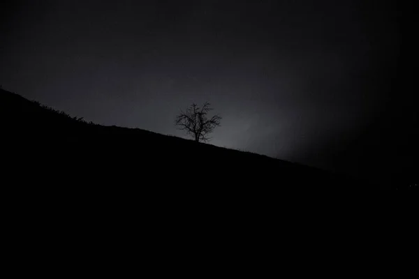 Een Eenzame Boom Nachts Heuvel — Stockfoto