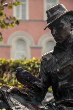 Etrafta güvercinlerle oturup kitap okuyan bir heykel.