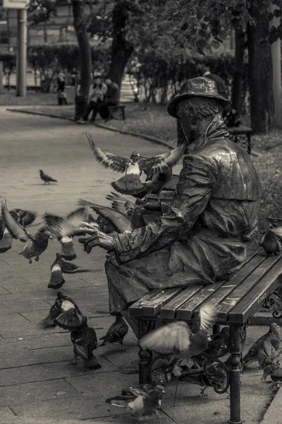 Etrafta Güvercinlerle Oturup Kitap Okuyan Bir Heykel — Stok fotoğraf