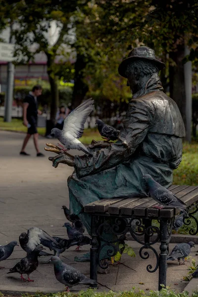 Una Escultura Sentada Leyendo Con Palomas Alrededor — Foto de Stock
