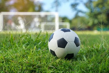 Klasik bir futbol topu yemyeşil çimlere dayanır, parlak mavi bir gökyüzü arkaplanı vardır, alçak açıyla yakalanır..                               