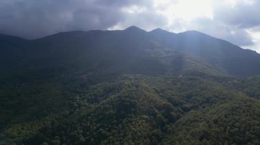 Dağ ormanlarında parlayan güneş ışınlarının drone görüntüsü
