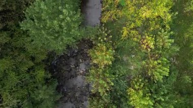 Zenithal insansız hava aracı görüntüleri, gür ve sık bir orman çölünde kıvrılan dar bir nehri gösteriyor.