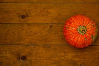 Ahşap zemin üzerinde balkabağı