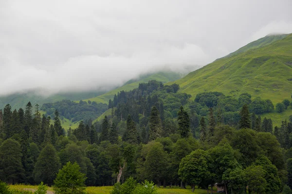 Paisagem de montanha verde — Fotografia de Stock