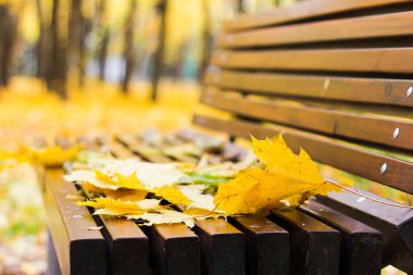 ahşap Bank yapraklarda