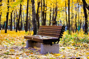 ahşap Bank yapraklarda