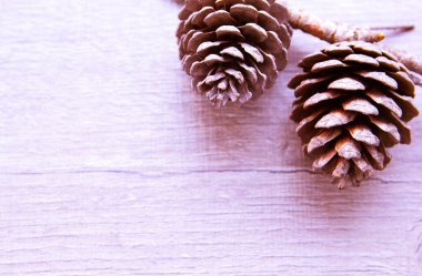 Noel orman darbelere