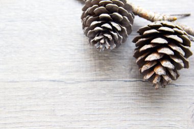 Noel orman darbelere