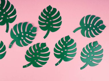 Kağıt tropikal yapraklar, canavar yaprağı..