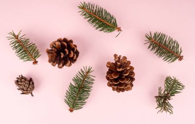 Noel arkaplanı süslerle dolu. Pembe arka planda sıralanmış çam kozalaklarının üst görüntüsü.