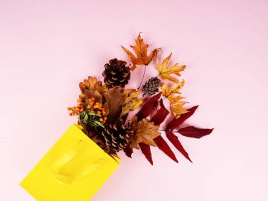 Sonbahar konsepti, sonbahar kurutulmuş çiçekli kağıt torba ve pembe arka planda yapraklar.