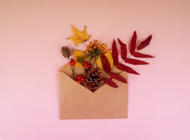 Sonbahar kompozisyonu. Kurumuş çiçekli zarf ve pastel pembe arka planda yapraklar. Sonbahar, sonbahar konsepti. Düz yatış, üst görünüm.