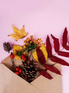 Sonbahar kompozisyonu. Kurumuş çiçekli zarf ve pastel pembe arka planda yapraklar. Sonbahar, sonbahar konsepti. Düz yatış, üst görünüm.