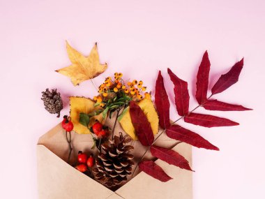 Sonbahar kompozisyonu. Kurumuş çiçekli zarf ve pastel pembe arka planda yapraklar. Sonbahar, sonbahar konsepti. Düz yatış, üst görünüm.