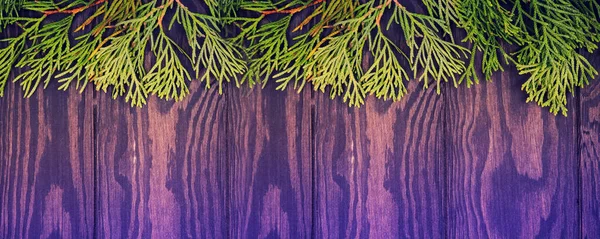 网上圣诞背景横幅 带有冷杉树 并在深色木板上装饰 — 图库照片