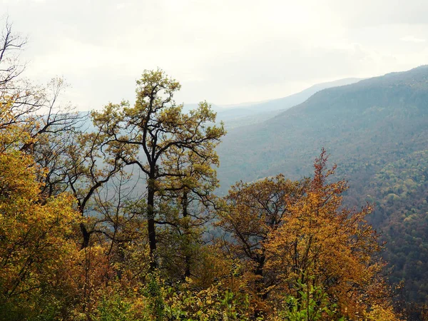 Fundo Natural Vista Montanha Para Floresta Abaixo Natureza Rússia — Fotografia de Stock