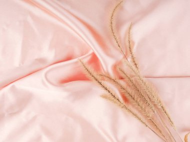 Parlak saten kumaş üzerindeki dikenlerin üst görünümü.