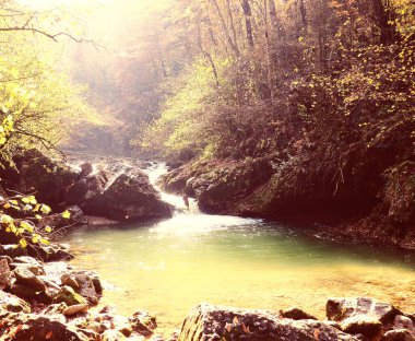 Ormandaki dağ nehri, dağlardaki şelale, yakınlardaki kayalar.