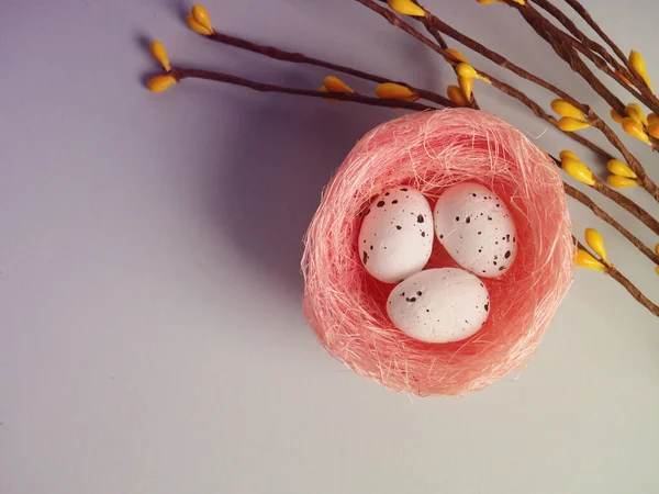 Nest Colored Easter Eggs White Blue Background Concept Easter Religious — Stock Photo, Image