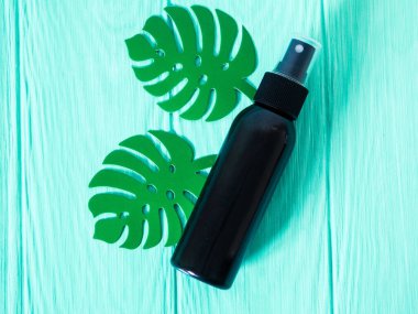 Siyah şişe yaprağı canavarı. Temiz şişe maketi ve beyaz arka planda canavar yaprağı..