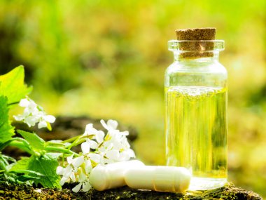 Organik biyo-alternatif tıp, bitkisel ilaçlar, sağlıklı yağ şişeleri ya da infüzyon ve kuru şifalı bitkiler..