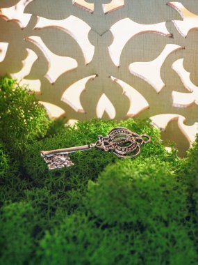 One carved antique key lies on the moss and a carved trellis, light through it. clipart