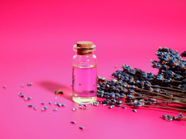 Kurumuş lavanta dalları ve pembe arka planda bir şişe yağ..