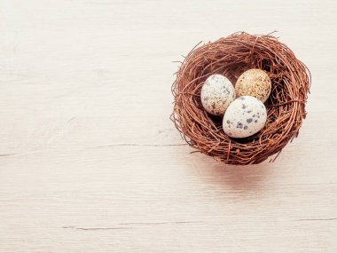 Ağaç bir arka planda duran bıldırcın yumurtaları, Paskalya için bir kartpostal..